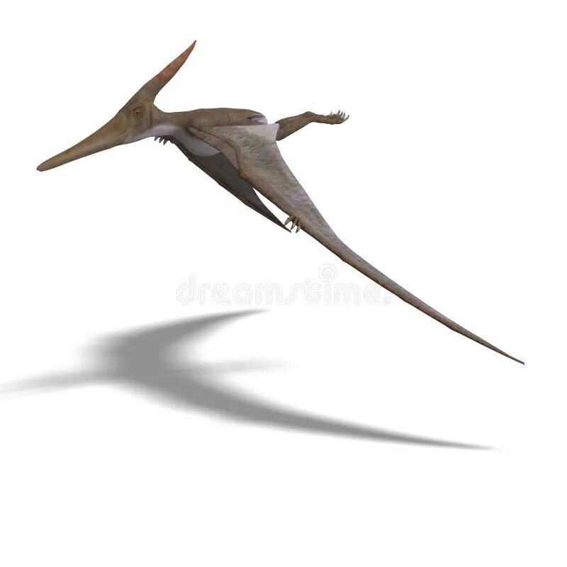 Exit code 1 pterodactyl
