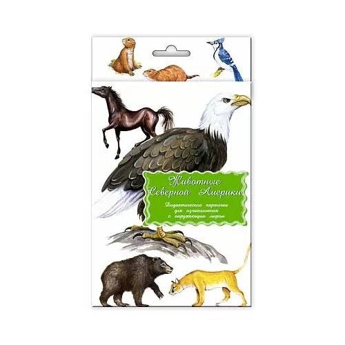 Энциклопедия для детей животные Северной Америки. Карточки животные Северной Америки. Обучающие карточки животные Южной Америки. Животные Северной Америки обучающие карточки.