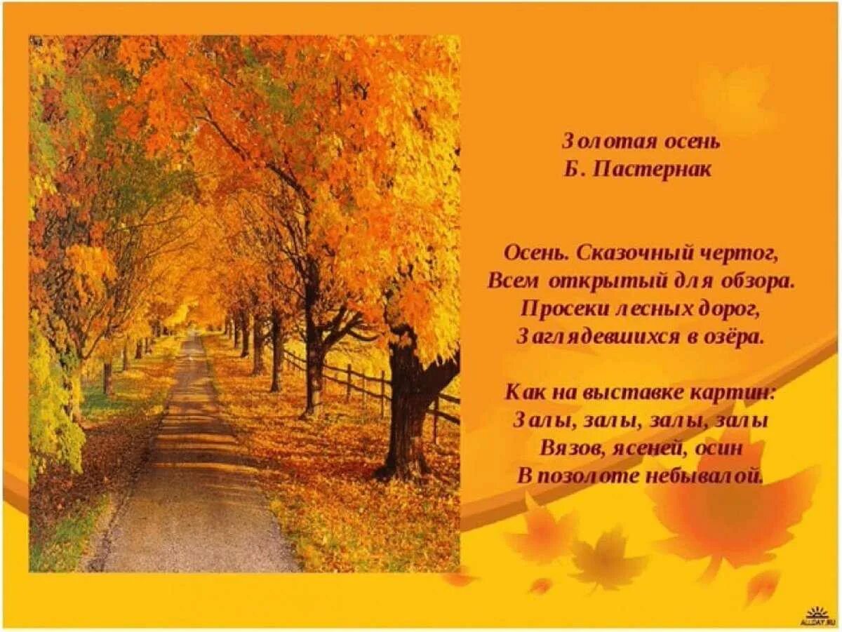 Образ для стихотворения про осень. Стихи про осень. Чем понравилось стихотворение осень. Стихи про осень красивые. Осенние стихи.