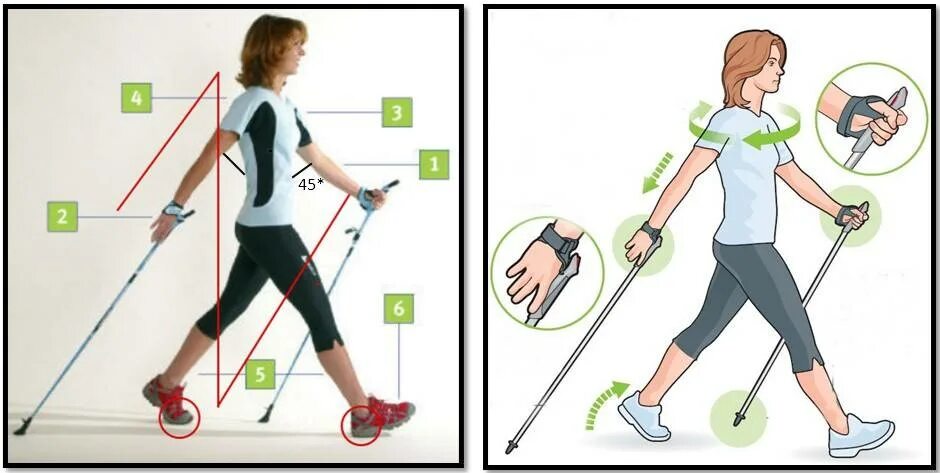 Скандинавская ходьба урок начинающим. Техника скандинавской ходьбы. Техника скандинавской ходьбы для начинающих. Скандинавская ходьба с палками техника. Палки для скандинавской ходьбы.