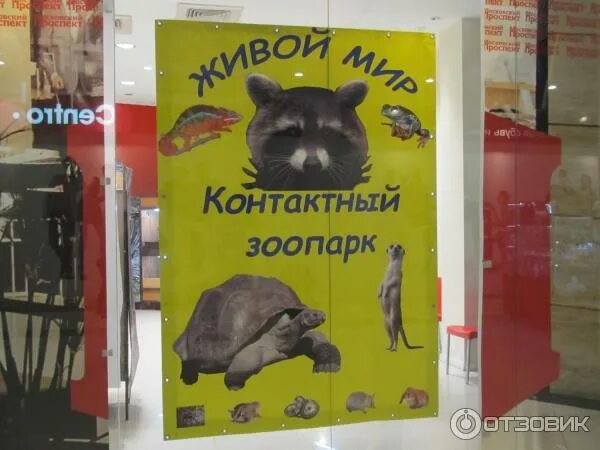 Зоопарк в трц воронеж. Зоопарк в трц воронеж. Зоопарк в тц. Зоопарк в тц. Экзотариум московский зоопарк.
