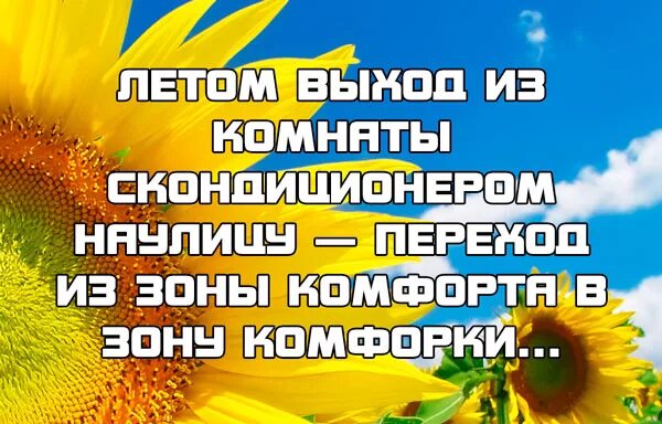 Цитата будет лето. Цитаты про лето. Цитаты про лето короткие. Красивые цитаты про лето. Красивые цитаты о лете.