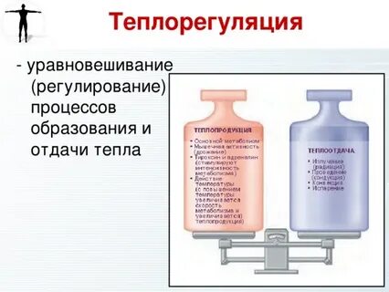 Теплорегуляция