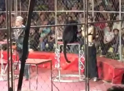 Подсмотрено бузулук