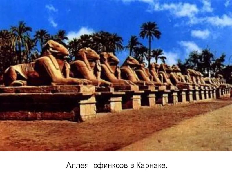 По истории аллея сфинксов рассказ. Аллея сфинксов в египте рассказ. Карнакский храм аллея сфинксов. История аллея сфинксов. Рассказ о посещении храма египта.