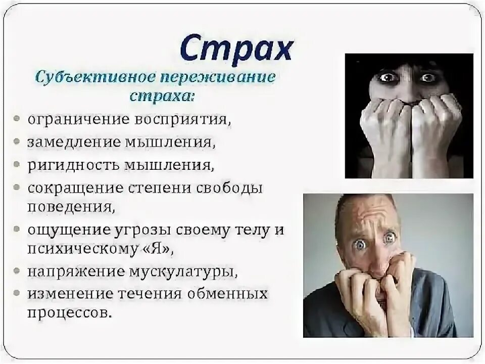 Как выглядит страх человека Talking too much synonym