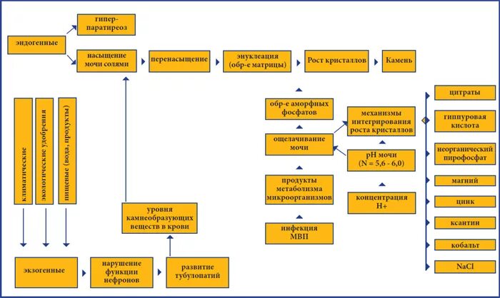 Почечнокаменная болезнь патогенез. Мочекаменная болезнь этиология и патогенез. Мкб мочекаменная болезнь патогенез. Патогенез мочекаменной болезни. Патогенез мочекаменной болезни.
