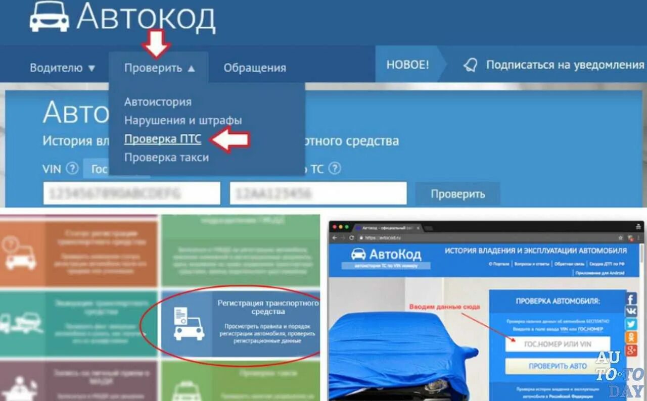 Как узнать сколько участников. Как узнать сколько машин зарегистрировано на меня. как проверить сколько машин зарегистрировано на человека. как узнать какие транспортные средства зарегистрированы на меня. автокод.