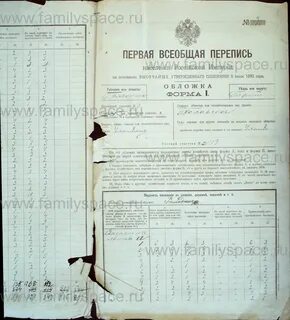 Перепись волости