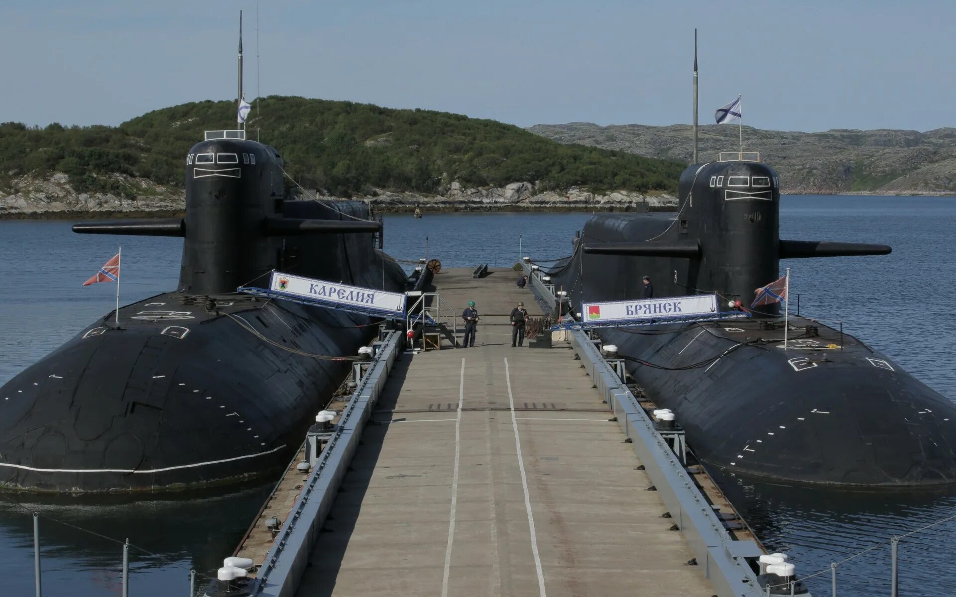 Подводные лодки проекта 667бдрм «дельфин». Апл проекта 971 щука-б вепрь. Лодки 949а антей. Подводная лодка проекта 955 борей. Подводная лодка 955 борей.