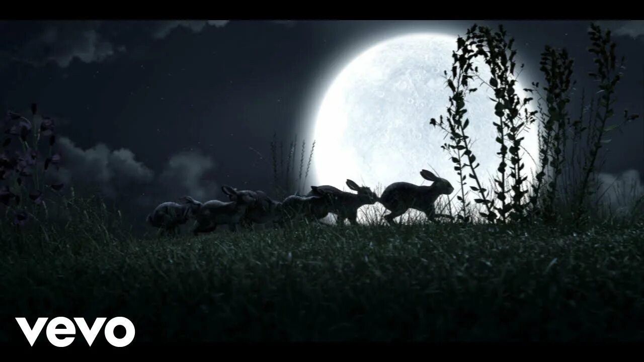 Сэм смит концерт. Sam smithfire on fire (from "watership down"). Сэм смит fire on fire. Fire on fire bonus track sam smith. Sam smith fire on fire.