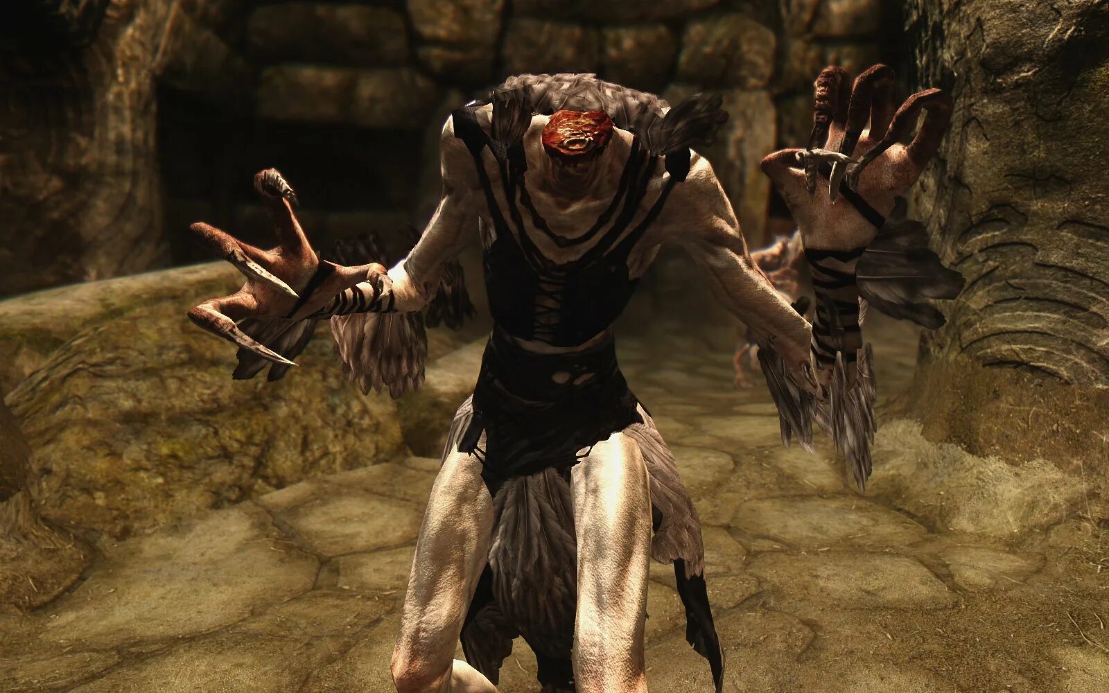 Skyrim мод руки