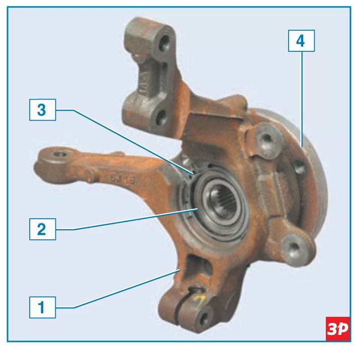 Поворотный кулак Рено Логан с АБС. Кулак поворотный ступицы колеса Logan. Ступица Рено Логан передняя схема. Левая ступица переднего колеса