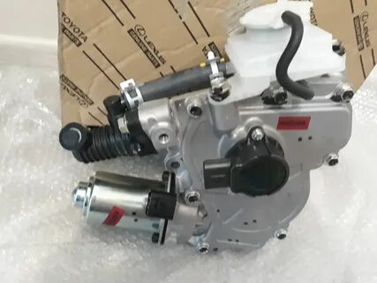 Gv52041
