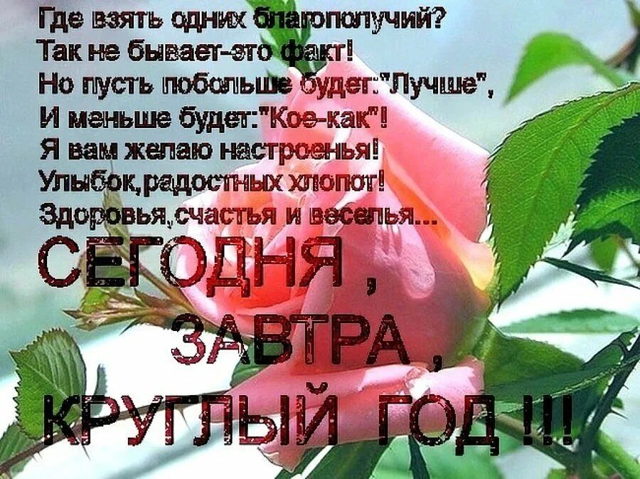 Пусть радует семья работа дом. Пожелания здоровья и благополучия. Пожелания добра и благополучия. Пожелания счастья и здоровья. Пожелания счастья и здоровья в стихах.