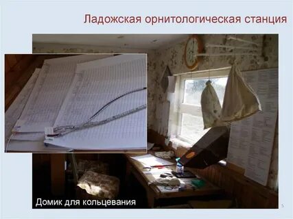 Экскурсия на орнитологическую станцию