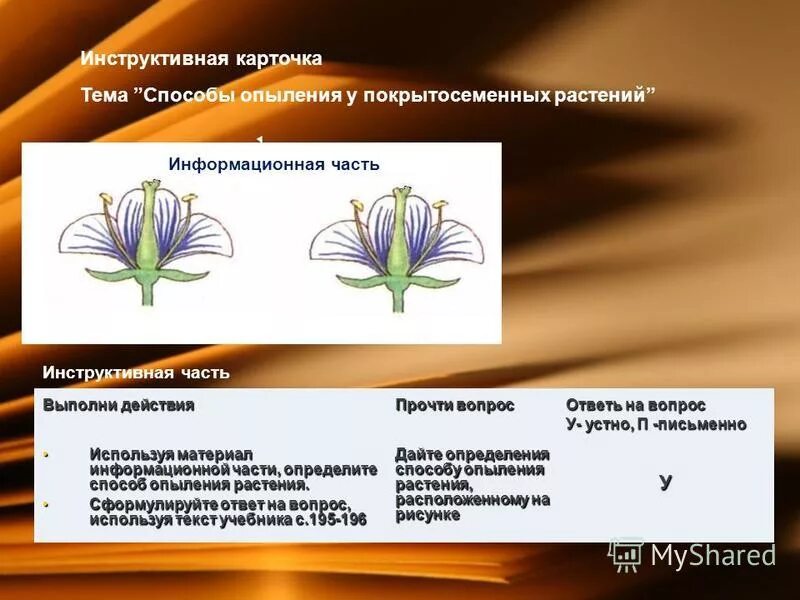 Опыление растений 6 класс биология схема. Используя содержание текста опыление цветковых растений ответьте. Используя содержание текста опыление цветковых растений ответьте. Используя содержание текста опыление цветковых растений ответьте. Используя содержание текста опыление цветковых растений ответьте.