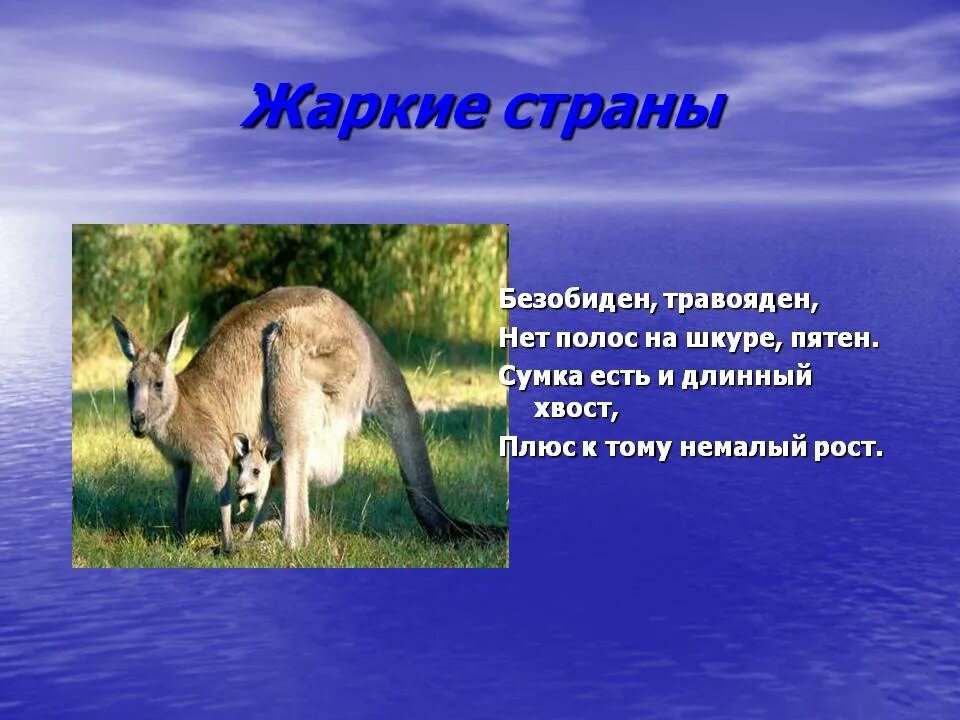 Подробнее о животном мире жарких районов. Животные жарких стран. животный мир жарких районов. рассказ о животных жарких стран. животные жарких районов для 1 класса.