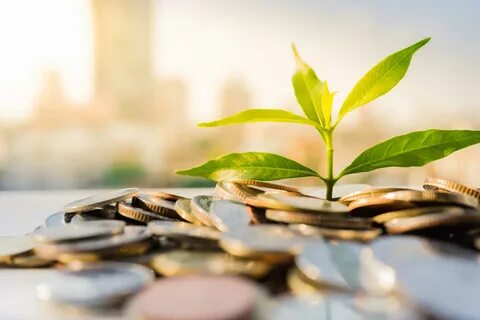 Financial view