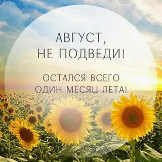 Цитаты из последнего лета