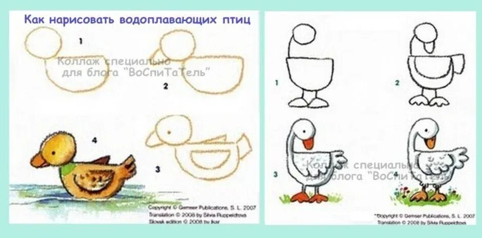 Рисуем утку поэтапно. Поэтапное рисование в старшей группе утка. поэтапное рисование гуся. нарисовать утку схема. схема рисования для дошкольников утята.