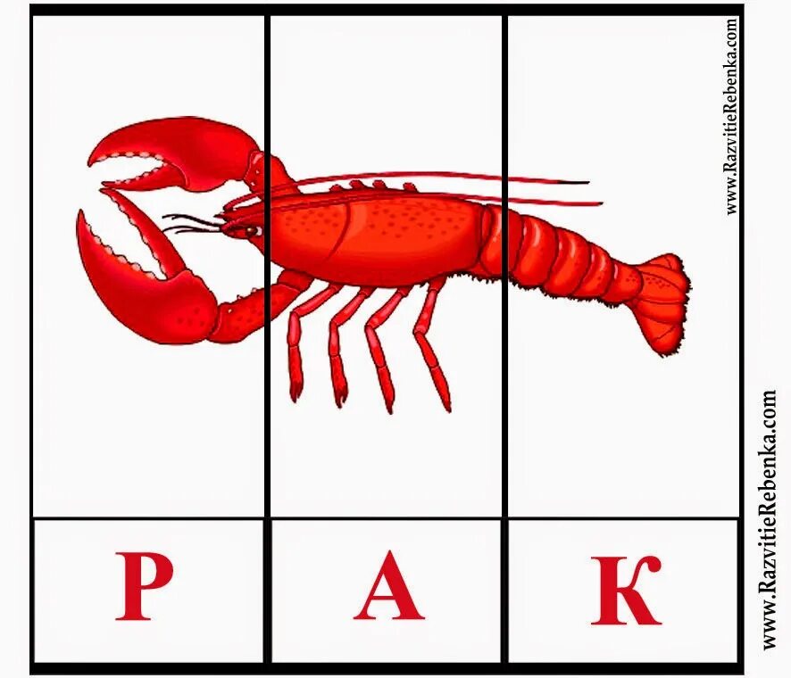 Собери слово из частей. Разрезные картинки. Разрезные буквы для дошкольников. Карточки для составления слов. Разрезные картинки с подписями.