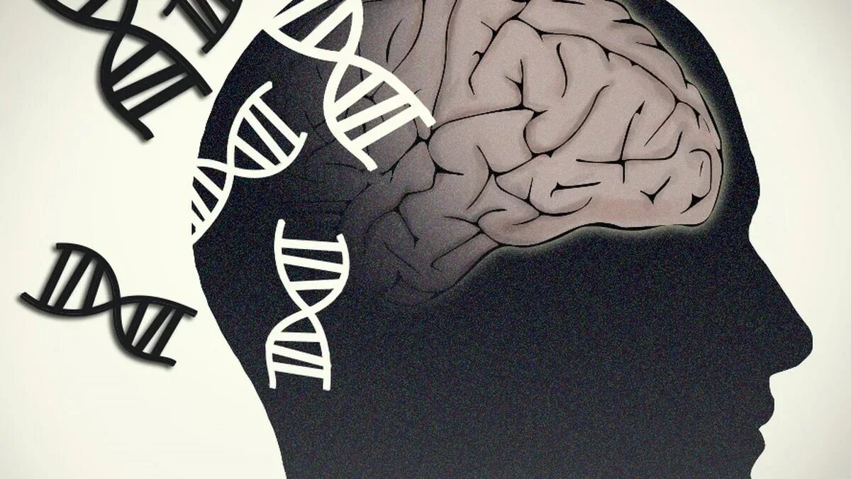 Возраст мозга 2. Мозг ДНК. Умственная деградация. Деменция. Деменция рисунок.