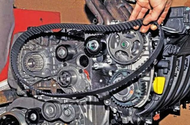 Грм рено дастер дизель. Рено дастер дизель ремень грм. Ремень грм дизель кангу 1. Комплект ремня грм рено кангу 1. Комплект грм логан 1.