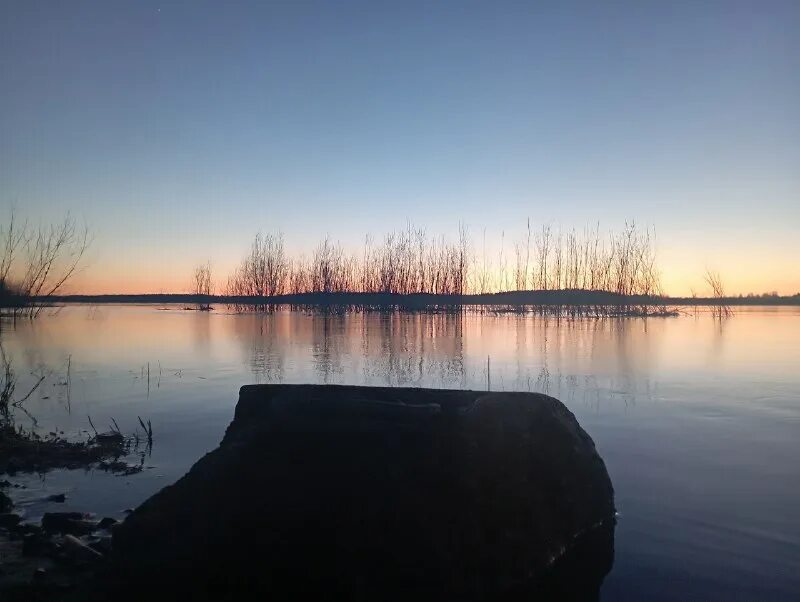 сплетник коряжмы. сплетник коряжмы котласа 29. сергей алышев депутат котлас. зимняя коряжма. сплетник коряжмы котласа 29.