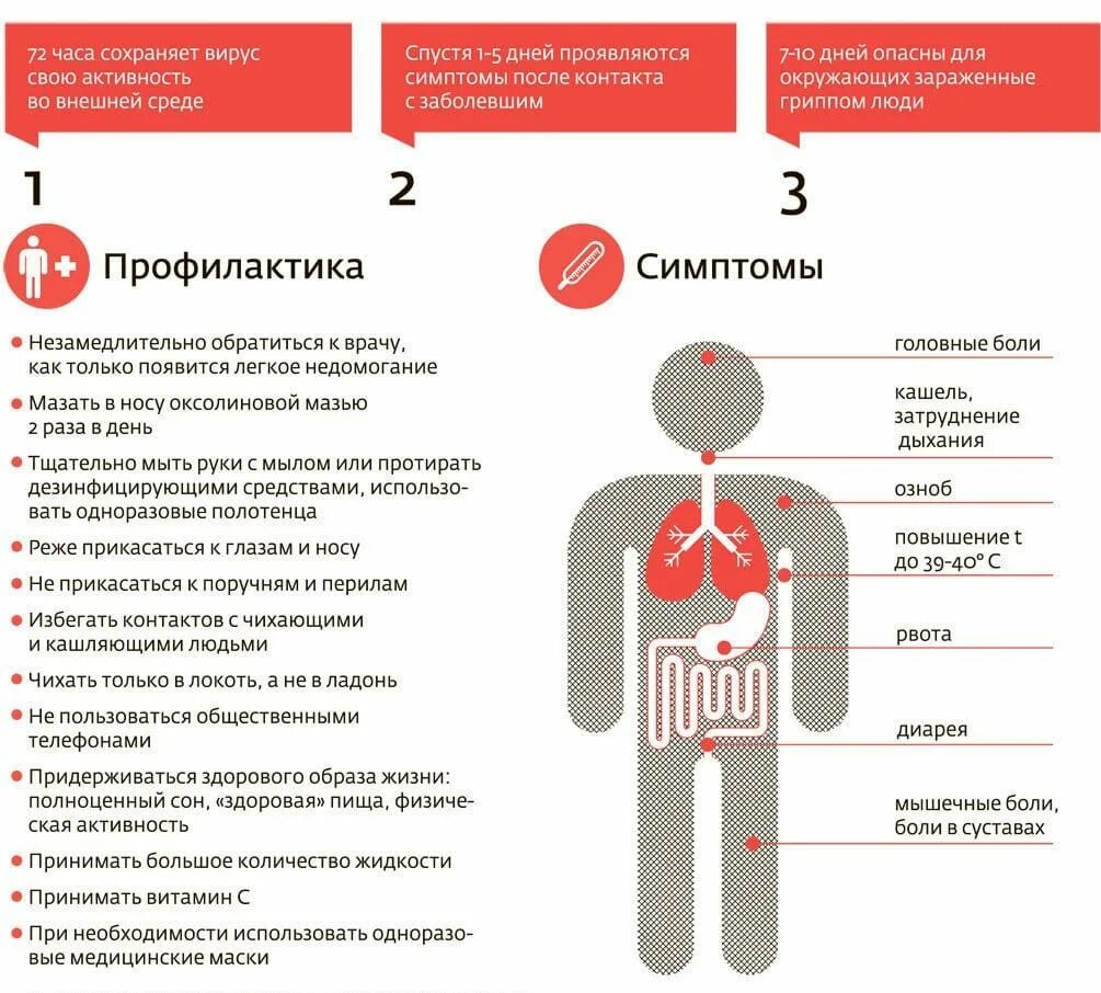 Через сколько симптомы после контакта