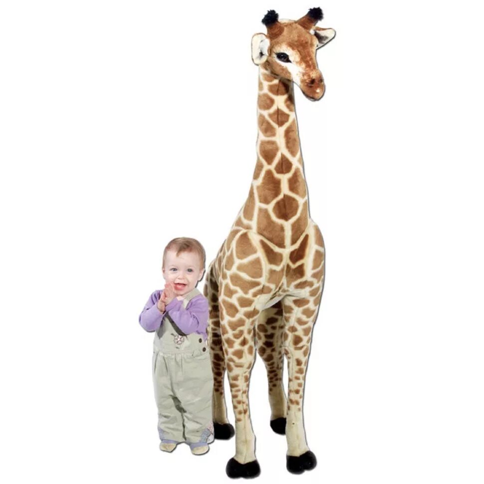 Мягкая игрушка Жираф. Жираф мягкая игрушка большая. Мягкая игрушка "Жирафик". Мягкие игрушки Жирафы. Купить жирафа игрушку
