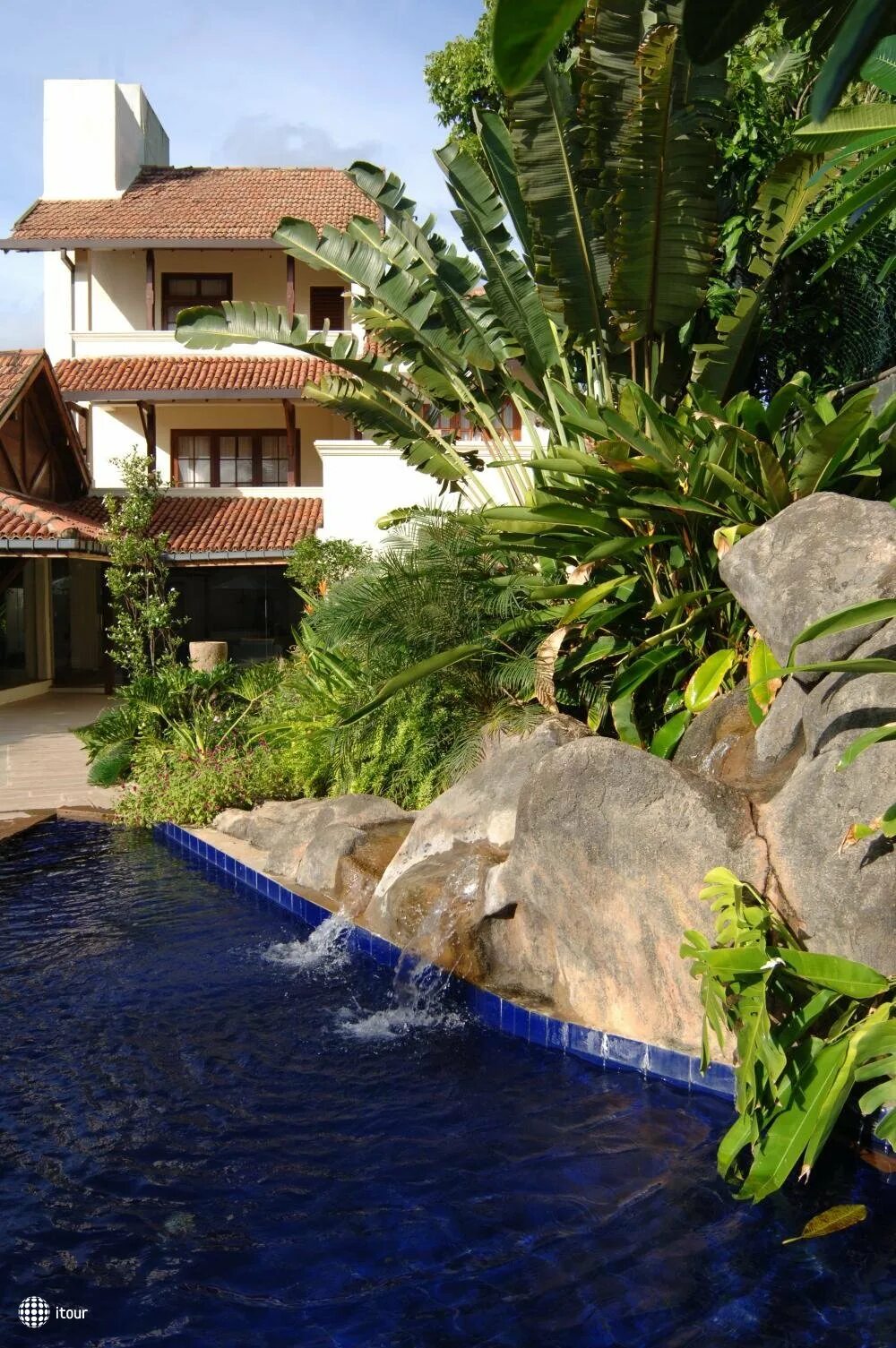 калутара / kalutara hibiscus beach hotel. гибискус шри ланка. гибискус jayella. отель гибискус шри ланка. цветок малайзии гибискус национальный.