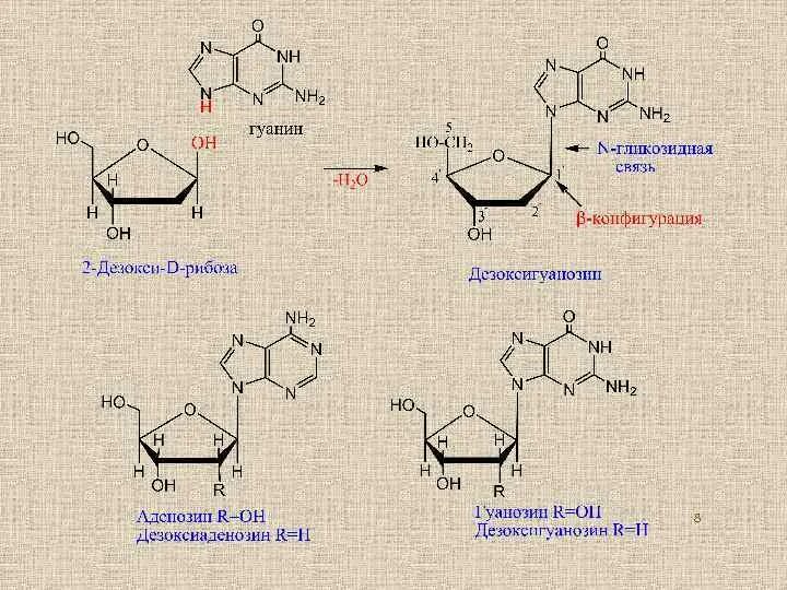 Гуанин и рибоза. Рибоза плюс гуанин. Гуанин и 2-дезокси-d-рибоза. Гуанин рибоза+ фосфат.