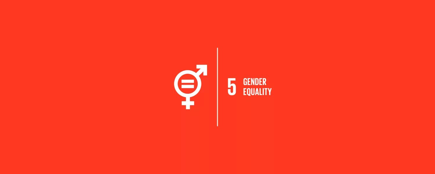 5 Gender equality. SDG 5. Gender equality SDG. SDG Gender equality logo. Gender 1.16 5