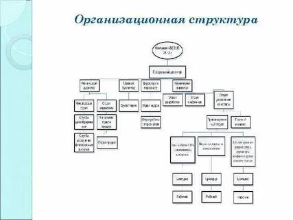 Государственный университет структура