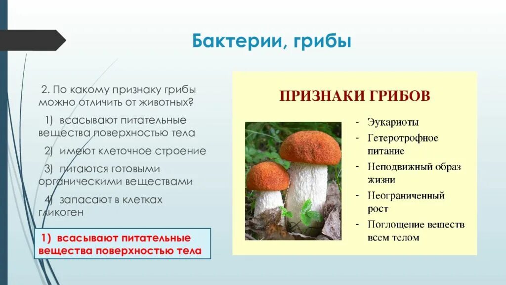 Бактерии грибы питаются готовыми органическими веществами. Питание бактерий и грибов. Грибы и бактерии. Питание грибов и животных. Грибы и их строение.