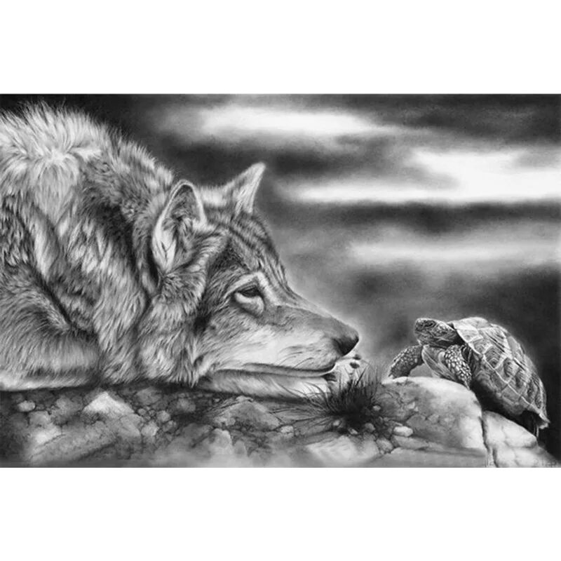 Волк черепаха. Алмазная мозаика волк черно белая. Алмазная мозаика череп волка. Картина с волками чб.