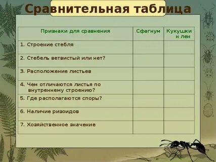 Сравнительная таблица мхов