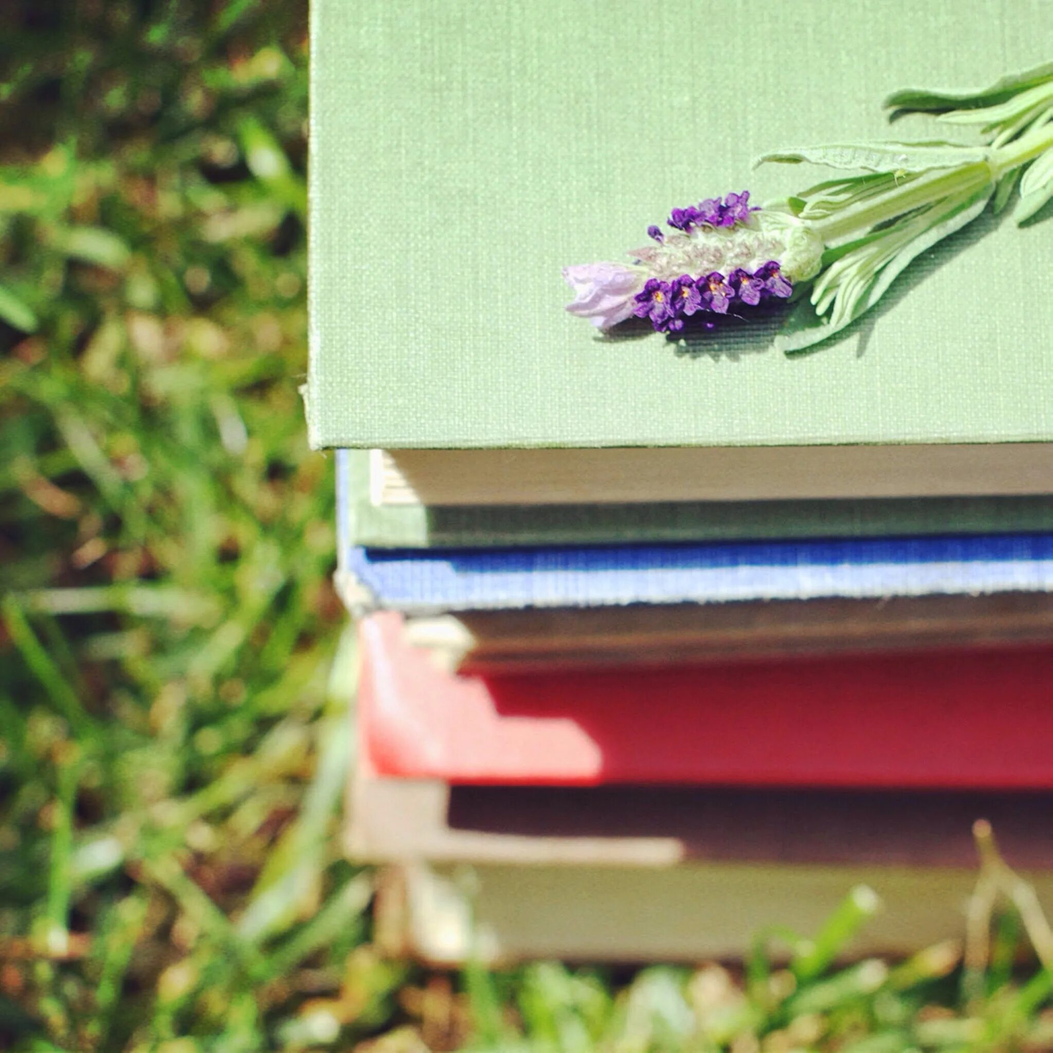 На столе лежит книга которая отражается. Красивые книги. Книга на траве. Книги и зелень. Книга на траве Эстетика.