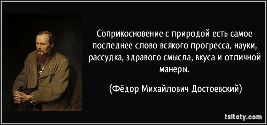 Книги созданы страданием и любовью к людям. Высказывания Достоевского. Афоризмы Достоевского. Страдания цитаты. Страдание и боль всегда обязательны.