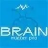 Brain 178