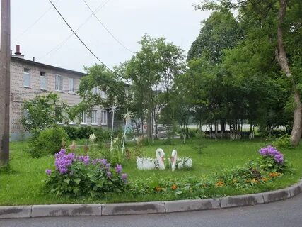 Диспансеры гатчины