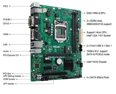 H310 поддерживаемые процессоры