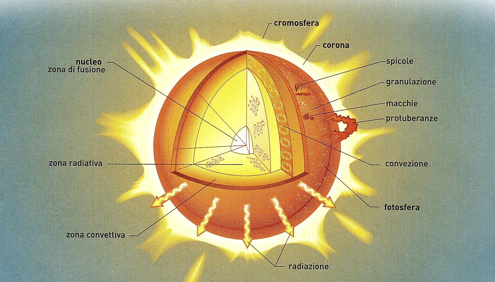 Внутреннее строение солнца схема. Внутреннее строение солнца рисунок. Строение солнца внутреннее и внешнее. Солнце в разрезе. Верхний слой солнечной атмосферы