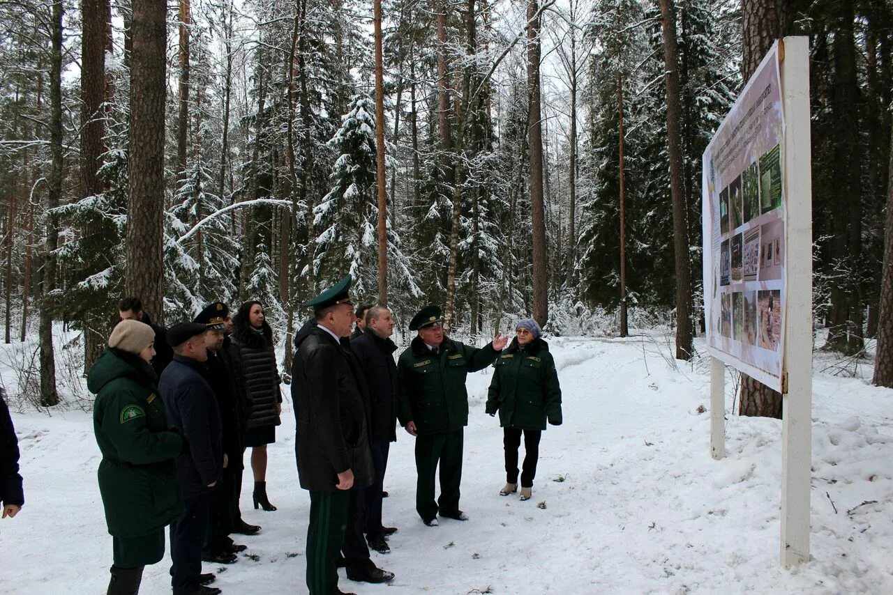 учебно-опытное лесничество брянской области. лисинское учебное лесничество. новиков логку ленобллес. лисинский учебно-опытный лесхоз. учебно опытное лесничество г п ульяновка.