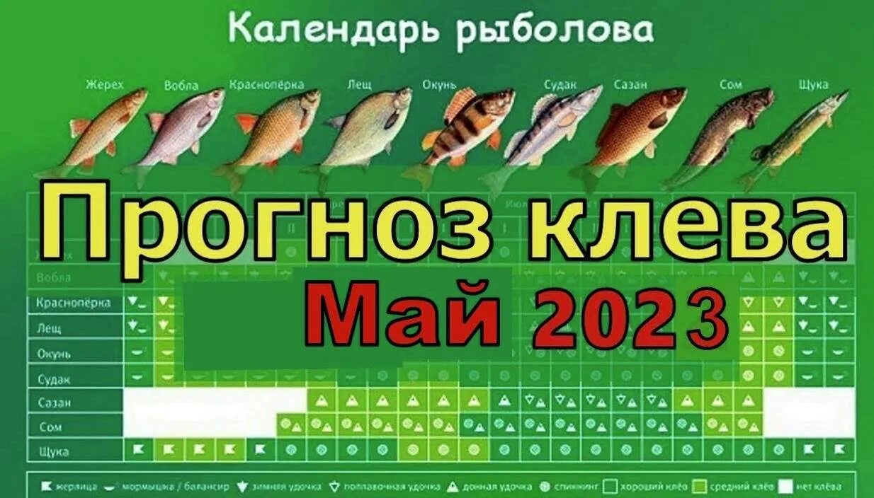 Прогноз клева рыбы в ставропольском крае