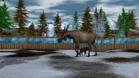 Wildlife мод много денег