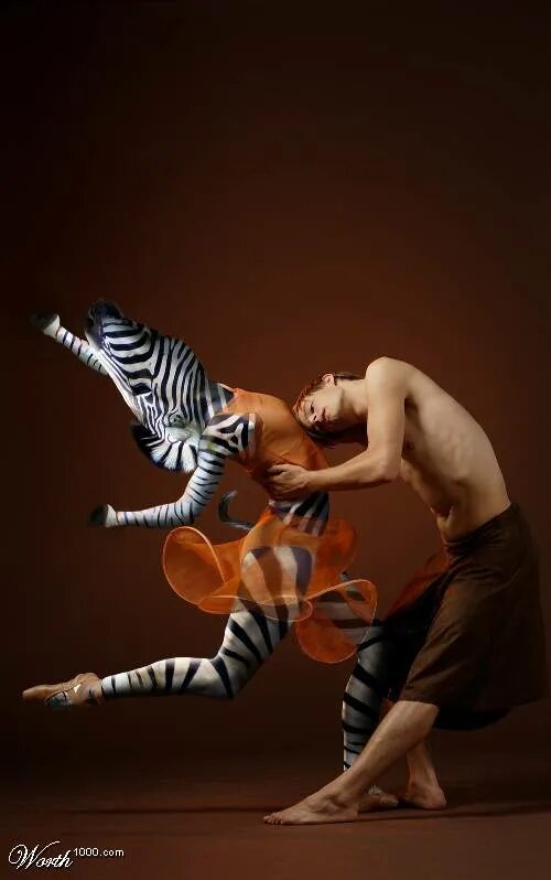 Читать танец со зверем. Собачка балет. Читать танец со зверем. Танцы человека и зверя. Собака танцор.