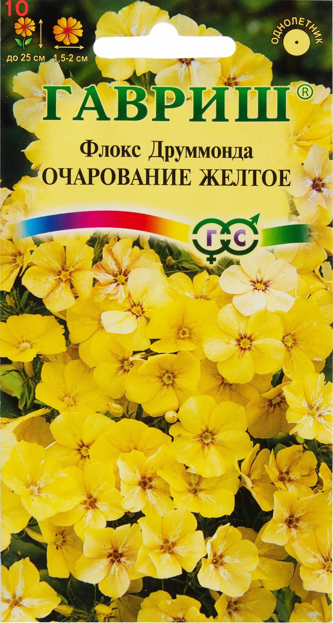Желтый флокс фото : Phlox Seed