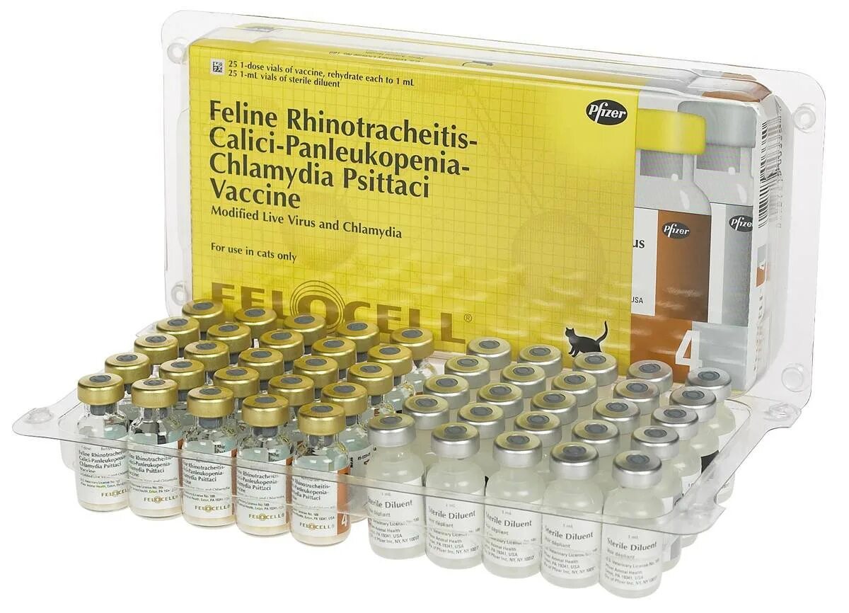 Фелоцел отзывы. Фелоцел вакцина. вакцина фелоцел-4. фелоцел вакцина для кошек. фелоцел cvr.